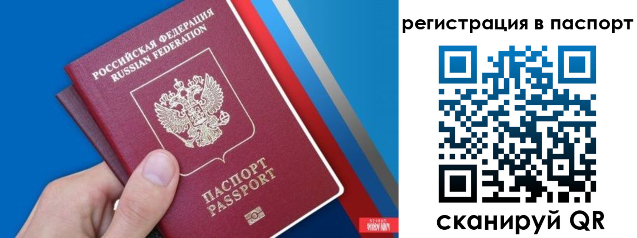 прописка для школы в Усть-Лабинске